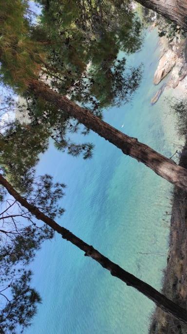 Home_nafplio *